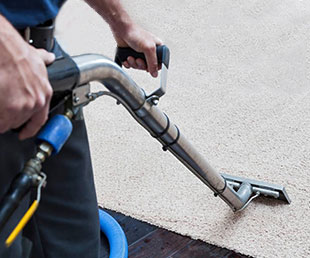 Carpet Hot Water Extraction Cleaning